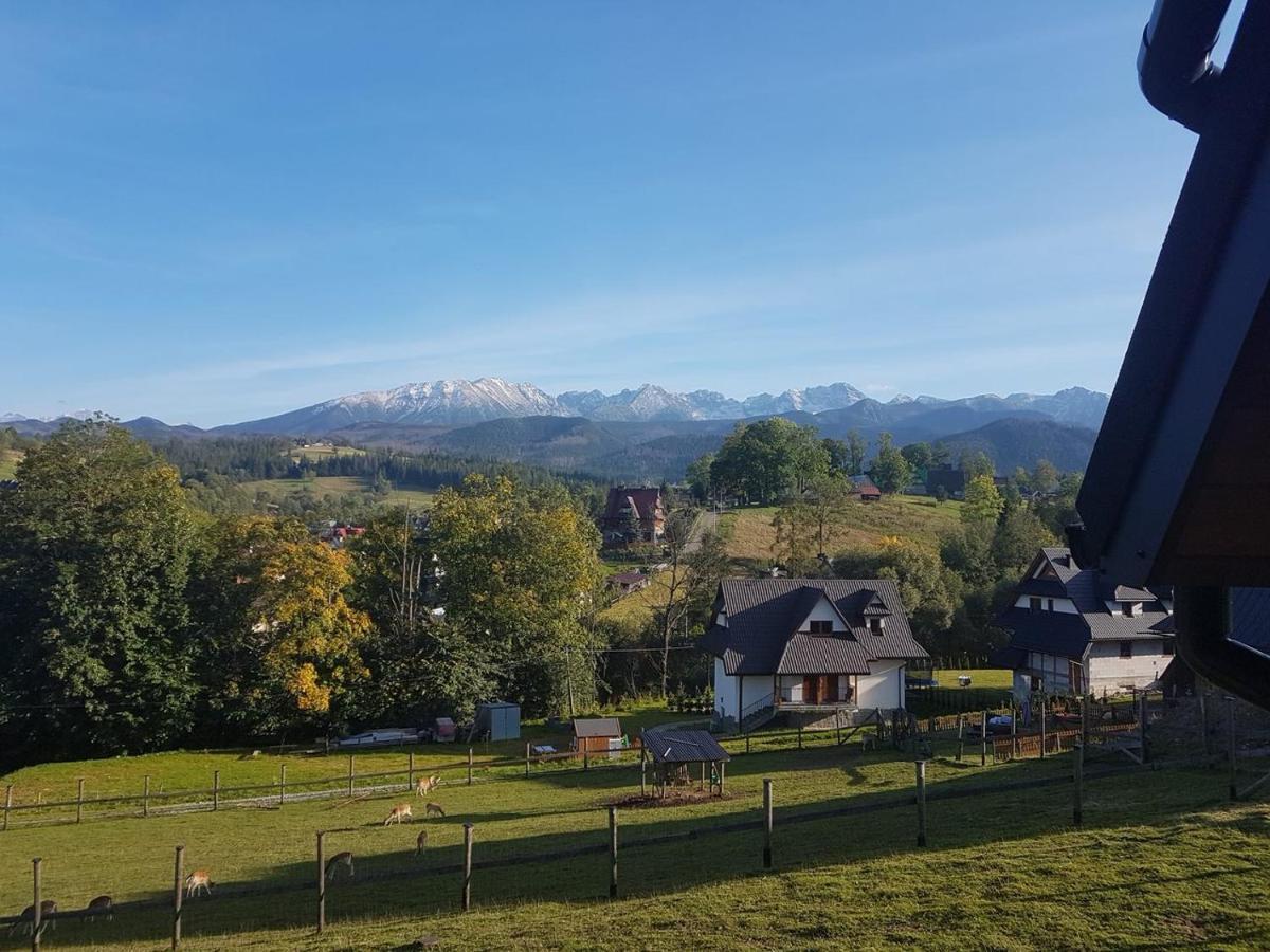 Gorska Mila Apartzakop Apartment Zakopane